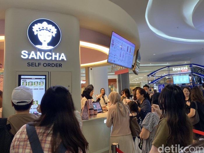 Sancha Indonesia