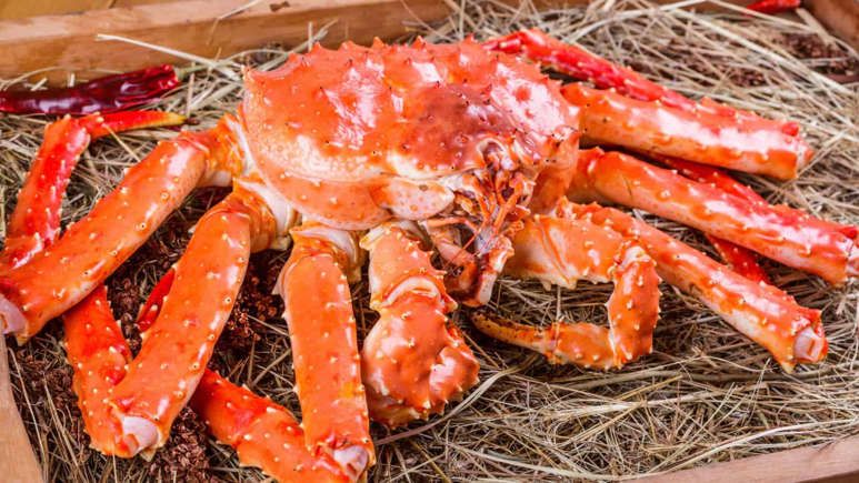 seafood