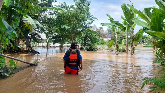 BPBD Kota Kediri memantau luapan Sungai Brantas yang meluap