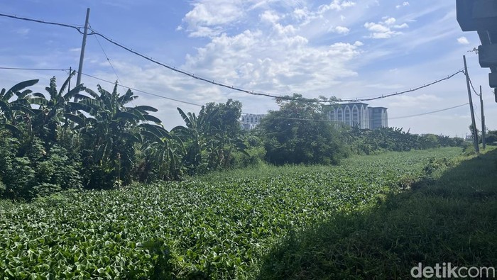 Sungai perbatasan Gunung Anyar-Pondok Candra Surabaya.