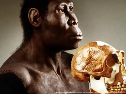 Fosil 8,7 Juta Tahun dari Turki Tantang Teori Asal-usul Manusia