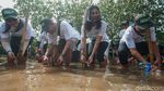 Aksi Menanam 2.500 Mangrove untuk Kelestarian Bumi