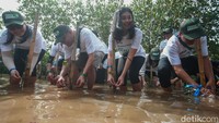 Sebanyak 150 karyawan terjun ke pesisir laut untuk menanam bibit mangrove di Tanjung Pasir, Tangerang. Sedangkan empat provinsi lainnya yaitu Pulau Untung Kepulauan Seribu Jakarta, Pantai Mangunharjo Semarang, Mempawah Kalimantan Barat dan Likupang Sulawesi Utara.