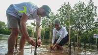 Mangrove juga dapat melindungi wilayah pesisir dari abrasi, menjaga keseimbangan ekosistem laut. Penanaman mangrove bertujuan untuk memulihkan fungsi alami ekosistem mangrove yang tidak hanya melindungi masyarakat dari dampak bencana alam, tetapi juga mendukung sektor perikanan, pariwisata berbasis alam dan ekonomi lokal.