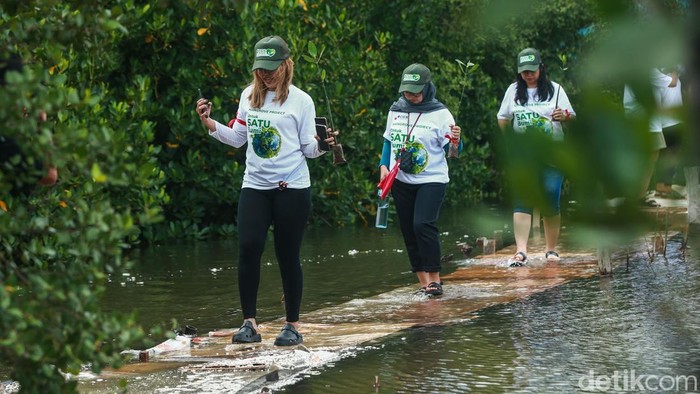 Aksi Menanam 2.500 Mangrove untuk Kelestarian Bumi Aksi penanaman mangrove untuk kelestarian bumi digelar di Tanjung Pasir, Tangerang. Total ada 2.500 bibit yang ditanam serentak di lima provinsi, Sabtu (30/11/2024).