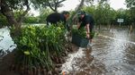 Aksi Menanam 2.500 Mangrove untuk Kelestarian Bumi