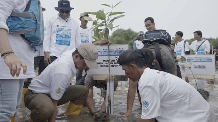 Freeport Indonesia Tanam Mangrove 25 Hektare di Sumut