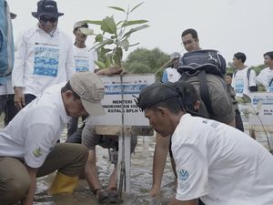 Freeport Indonesia Target Tanam 10 Ribu Hektare Mangrove hingga 2041