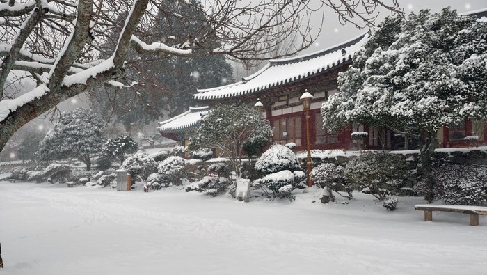 Salju di Korea Selatan