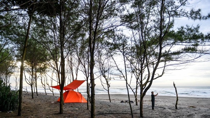 Sensasi Kemah di Pantai Selatan Jawa Barat Wisatawan mendirikan tenda di kawasan wisata Pantai Cemara Cipanglay, Kecamatan Cidaun, Kabupaten Cianjur, Jawa Barat, Sabtu (30/11/2024). Pantai Cemara Cipanglay menjadi salah satu potensi wisata Pantai Selatan di Jawa Barat yang tengah dikembangkan oleh Pemerintah Kabupaten Cianjur guna mendongkrak kunjungan wisatawan di Pantai Selatan Jawa Barat. ANTARA FOTO/Raisan Al Farisi/nz