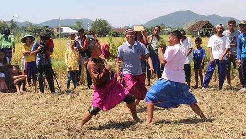 Barempuk, permainan tradisional yang kerap diidentikkan sebagai Ultimate Fighting Championship (UFC)-nya orang-orang Sumbawa. (Foto: Istimewa)