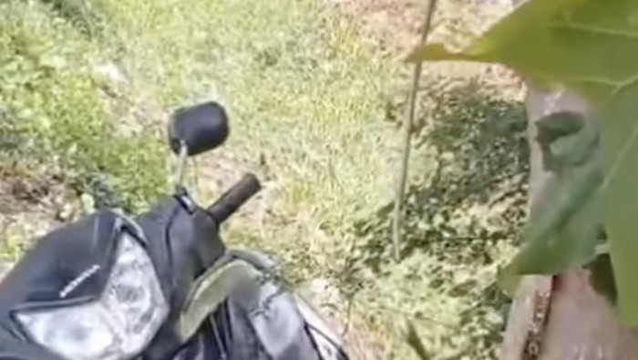 Bocah nyangkut di pohon