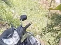 Viral Bocah SD Cengtri Kebut-kebutan Naik Motor Berakhir Nyangkut di Pohon