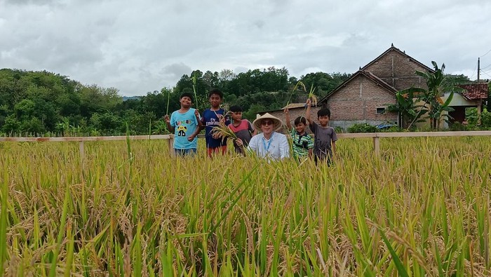 Panen Raya PIS