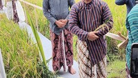 Sebelum prosesi panen raya berlangsung, PIS bersama warga setempat melakukan tradisi adat masyarakat Jawa yang berupa ritual persembahan dan selamatan sebelum panen padi, Wiwitan - Foto: Pertamina International Shipping