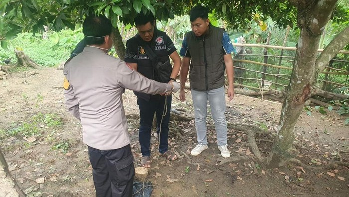 Polisi melakukan olah TKP nenek di Mura gantung diri di pohon sawo
