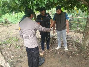 Depresi Adik Meninggal, Nenek 80 Tahun di Mura Gantung Diri di Pohon Sawo