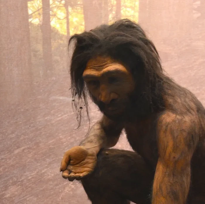 Sebuah tim peneliti mengidentifikasi spesies manusia baru yang punah sekitar 200.000 tahun lalu di China. Dinamakan Homo juluensis, spesies ini mengungkap kompleksitas evolusi manusia.