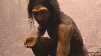 Temuan Spesies Baru Homo di China Bisa Ubah Peta Evolusi Manusia