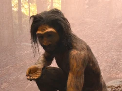 Ditemukan Spesies Manusia Baru di China, Tengkorak Lebih Besar