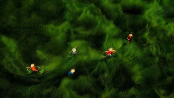 Cross the Field hasil jepretan Nguyen Sanh Quoc Huy, salah satu foto dalam shortlist ColorPro Awards 2024. Foto: Nguyen Sanh Quoc Huy/ViewSonic ColorPro Awards 2024