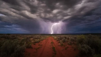 Thunderstruck karya Nickolas Warner dari Amerika Serikat juga terpilih sebagai salah satu finalis kategori Photography. Foto: Nickolas Warner/ViewSonic ColorPro Awards 2024