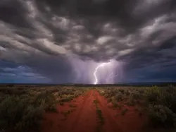 Terpukau Karya Pemenang ViewSonic ColorPro Awards, Ada dari Indonesia