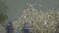 Foto udara dua warga memancing ikan dengan dikelilingi sampah di kawasan Bendungan Leuwikeris, Kabupaten Ciamis, Jawa Barat, Senin (2/12/2024).