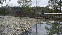 Warga memancing ikan dengan dikelilingi sampah di kawasan Bendungan Leuwikeris, Kabupaten Ciamis, Jawa Barat, Senin (2/12/2024).