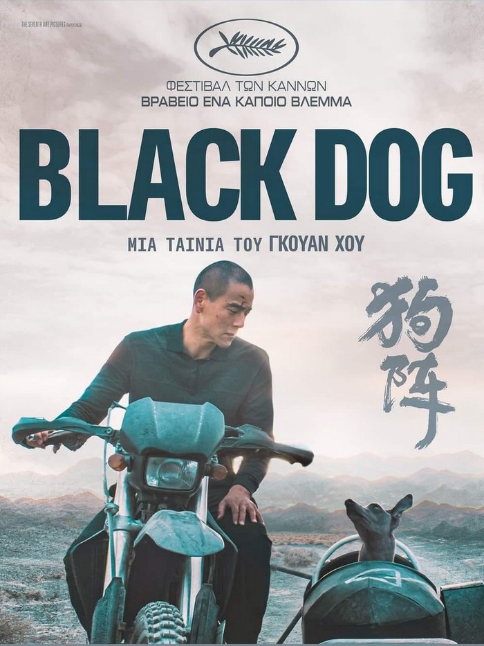 Black dog black dog