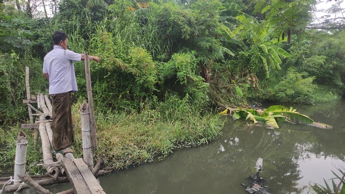 Buaya di Sungai Klurak, Candi, Sidoarjo