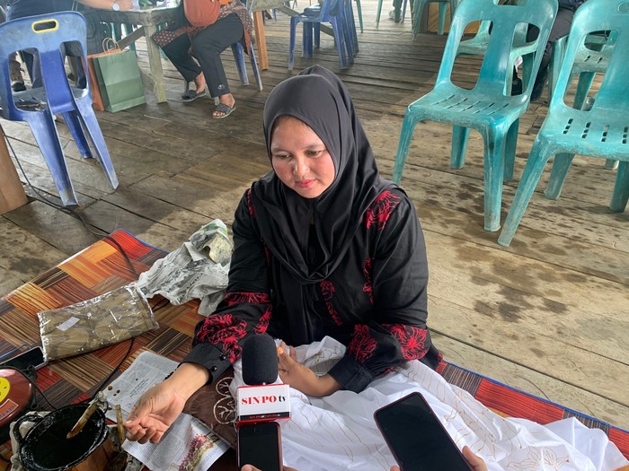 Budidaya mangrove di Tanjung Rejo, Deli Serdang (Mulia/detikcom)