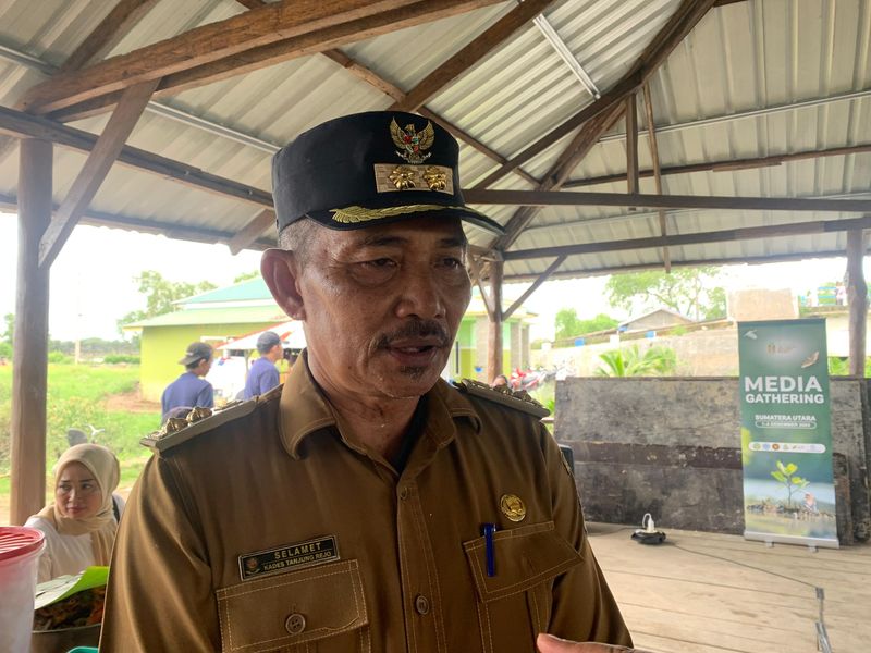 Budidaya mangrove di Tanjung Rejo, Deli Serdang (Mulia/detikcom)