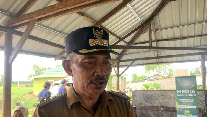 Budidaya mangrove di Tanjung Rejo, Deli Serdang (Mulia/detikcom)