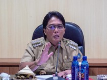 Investasi di Badung Gerus Lahan Sawah, Giri Prasta Singgung OSS