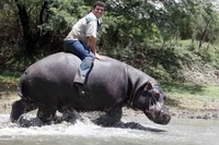 Foto Punya Fakta Menakutkan