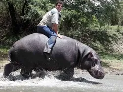 Deretan Foto Punya Fakta Mengejutkan dan Menyeramkan