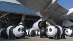 Hong Kong Luncurkan Tur Panda untuk Genjot Kunjungan Wisata