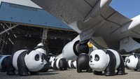 Satu tempat yang ditunjuk adalah Ocean Park, rumah bagi anak panda kembar, orang tua mereka, dan dua panda lain yang dihadiahkan oleh Beijing tahun ini. Desain enam patung, yang terbuat dari tong karet daur ulang dan resin di antara bahan-bahan lainnya, terinspirasi oleh beruang-beruang ini. 