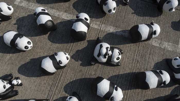 Part of 2500 panda sculptures are displayed at the Hong Kong International Airport during a welcome ceremony of the panda-themed exhibition 