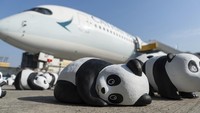 Pameran tersebut mencerminkan penggunaan panda oleh Hong Kong untuk meningkatkan ekonominya karena pusat keuangan Tiongkok tersebut berupaya mendapatkan kembali posisinya sebagai salah satu tujuan wisata utama di Asia. 
