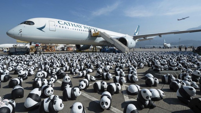 Part of 2500 panda sculptures are displayed at the Hong Kong International Airport during a welcome ceremony of the panda-themed exhibition 