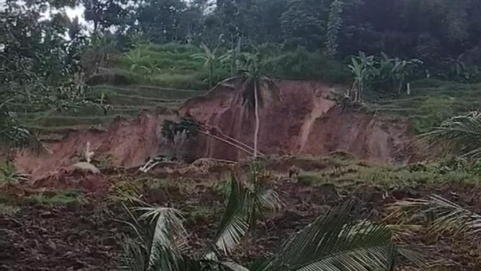 Longsor area persawahan di Sumedang.