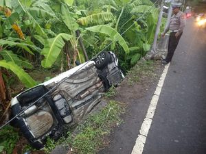 Sopir Ngantuk, Mobil Terperosok ke Kebun Pisang di Abiansemal