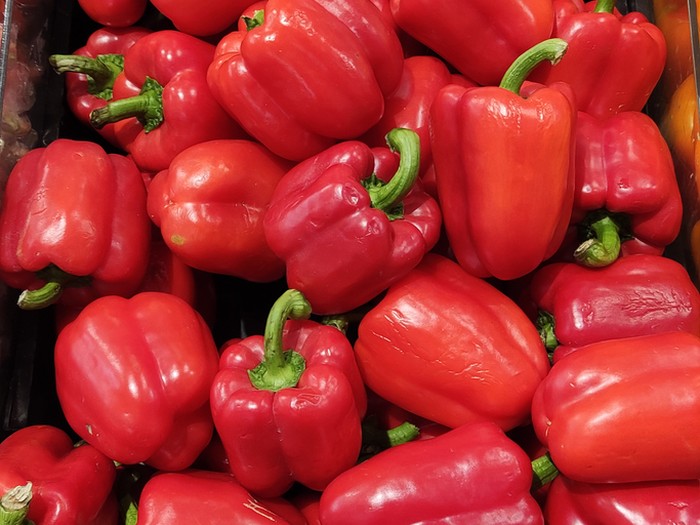 paprika bubuk proses pembuatan paprika bubuk