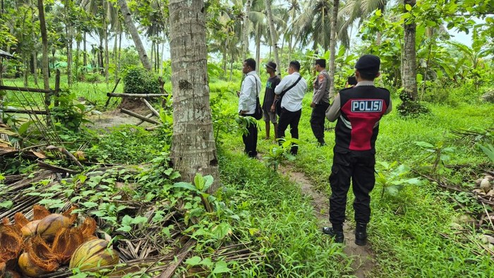 Kondisi kandang yang jadi TKP pencurian sapi jenis Limosin di Temon, Kulon Progo, Senin (2/12/2024).