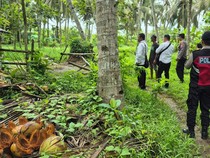Sapi Limosin Rp 28 Juta Raib Diduga Dicuri, Suyono Lapor Polisi