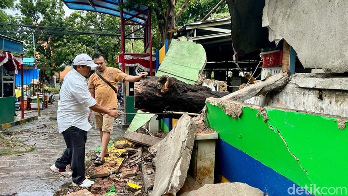 Sebuah pohon tumbang di kawasan Pasar Senen Blok III, Jakarta, Senin (2/12/2024). Robohnya pohon ini diakibatkan oleh kencangnya angin.