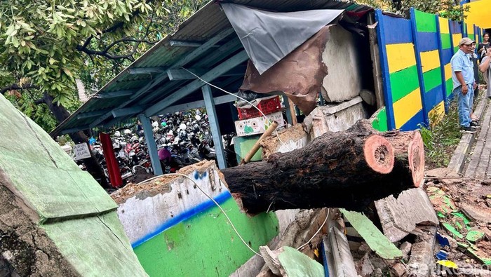 Pohon Tumbang Diterjang Angin Kencang di Pasar Senen Sebuah pohon tumbang di kawasan Pasar Senen Blok III, Jakarta, Senin (2/12/2024). Robohnya pohon ini diakibatkan oleh kencangnya angin.