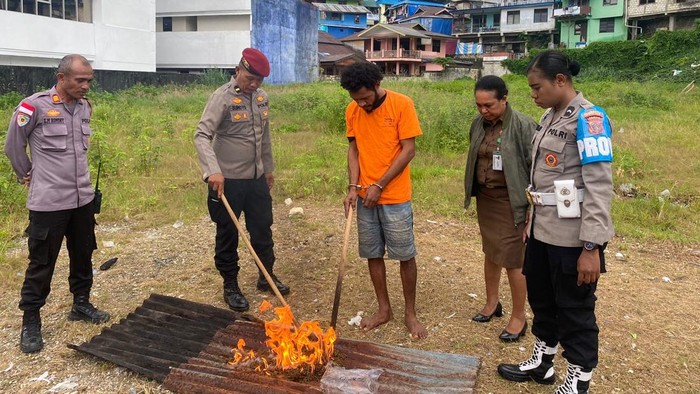 Polresta Jayapura memusnahkan 9 kilogram ganja.